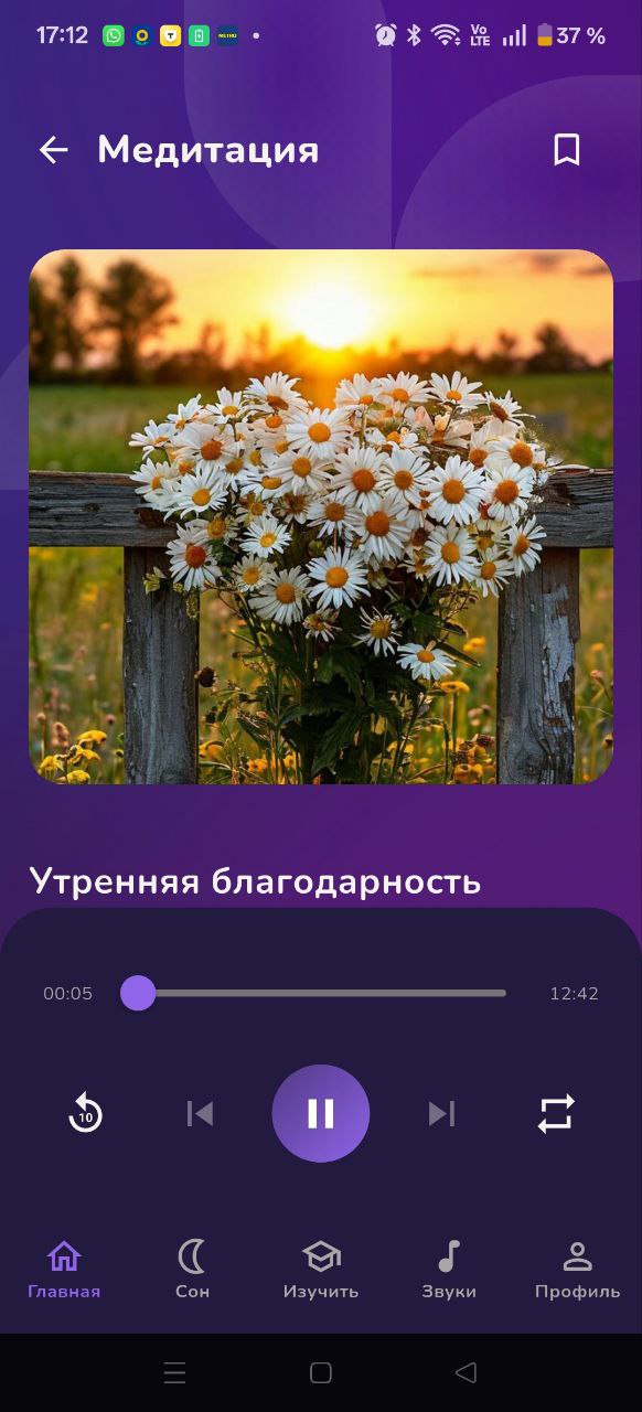 Видео плеер